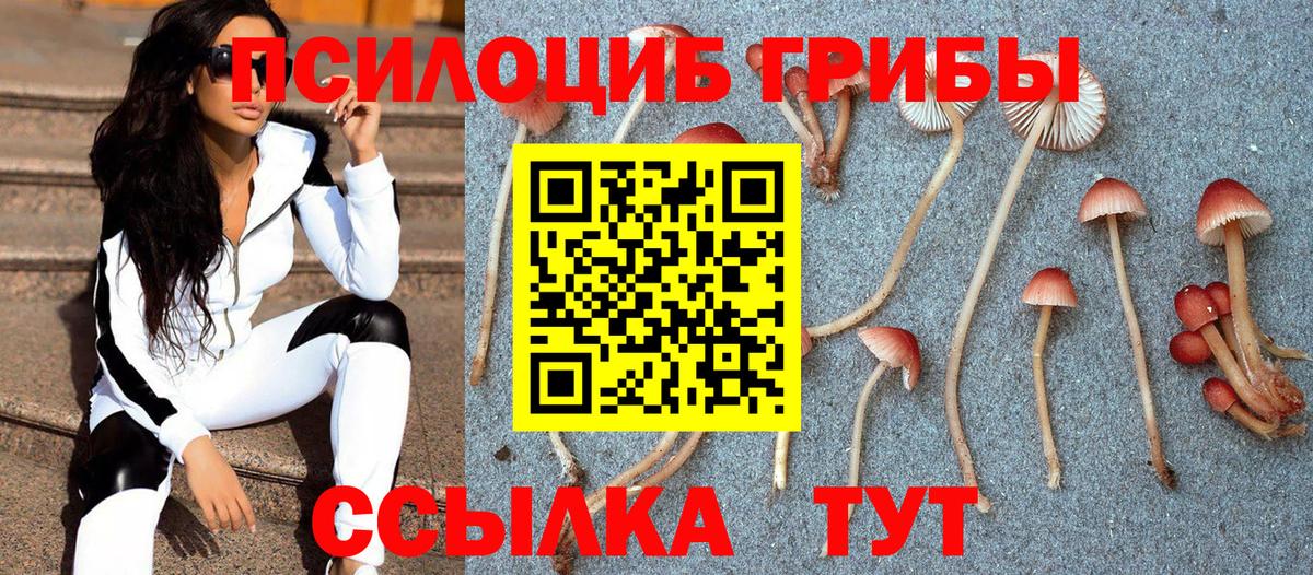 Псилоцибиновые грибы MAGIC MUSHROOMS Куйбышев
