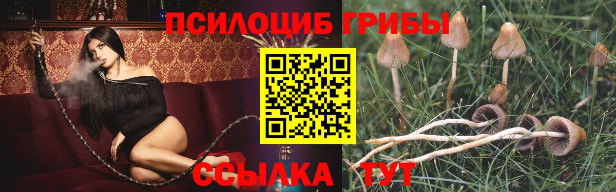 Меф МЯУ МЯУ   Канабис  Вход с VPN  КОКАИН  Куйбышев  Гашиш 