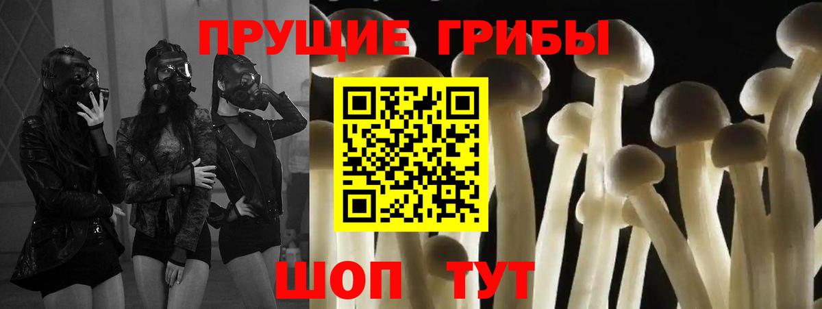 Галлюциногенные грибы мухоморы  наркота  Вход с VPN  Куйбышев  Галлюциногенные грибы ЛСД 